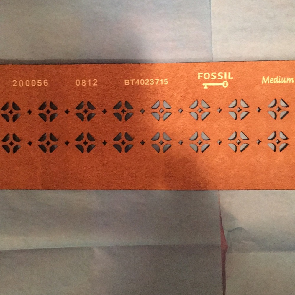 Beautiful Fossil Gold Color Embossed Leather Belt - image 7